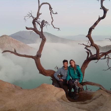 Thalia Homestay & Ijen Bromo Tour Banyuwangi  Dış mekan fotoğraf
