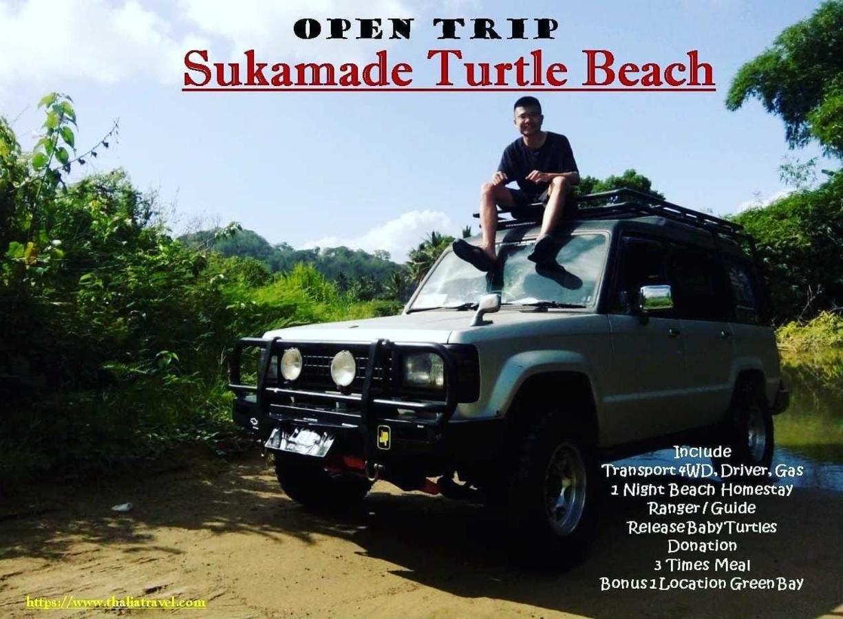 Thalia Homestay & Ijen Bromo Tour Banyuwangi  Dış mekan fotoğraf