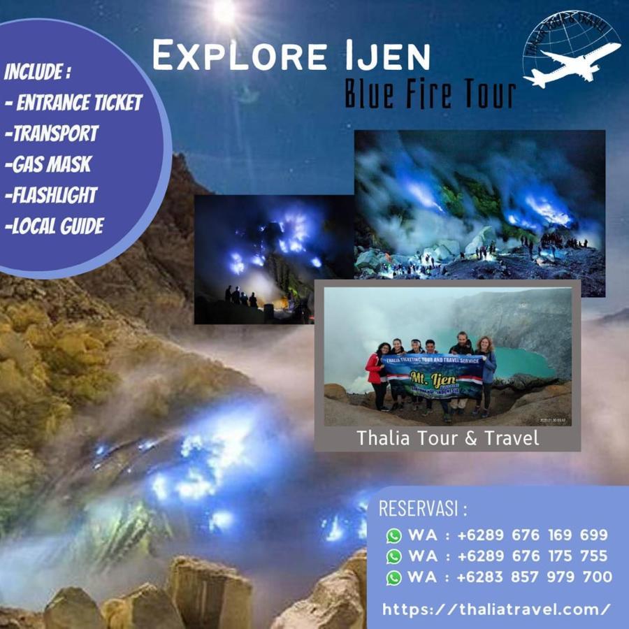 Thalia Homestay & Ijen Bromo Tour Banyuwangi  Dış mekan fotoğraf