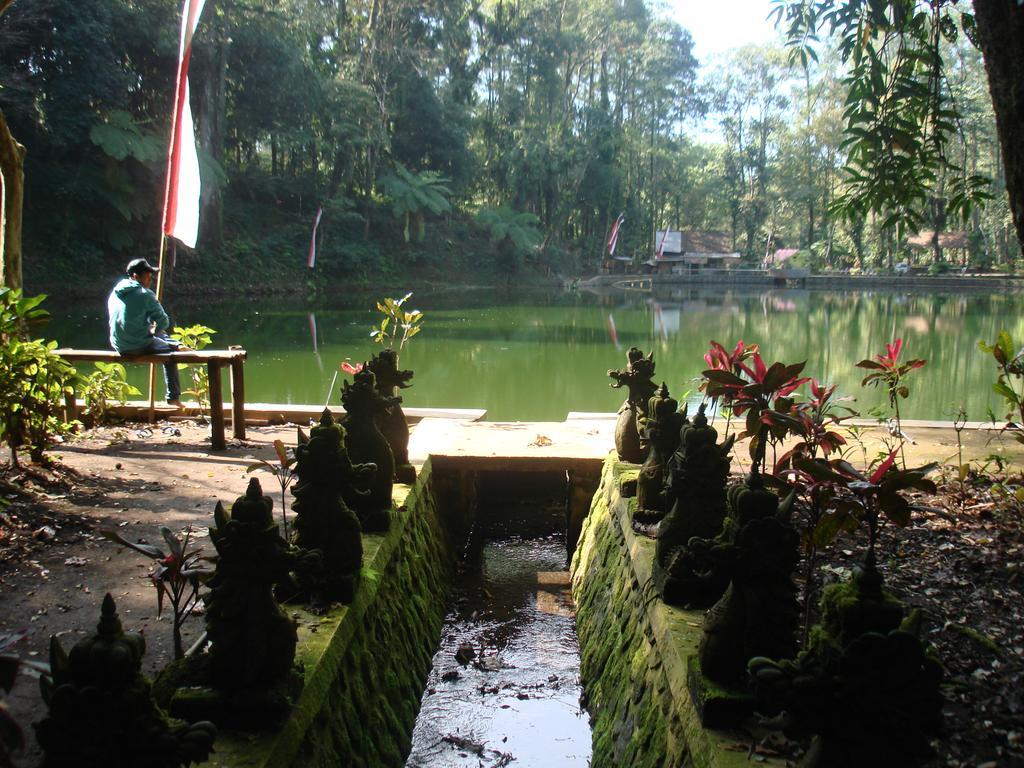 Thalia Homestay & Ijen Bromo Tour Banyuwangi  Dış mekan fotoğraf