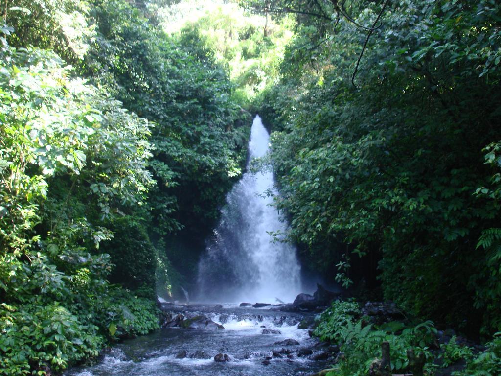 Thalia Homestay & Ijen Bromo Tour Banyuwangi  Dış mekan fotoğraf