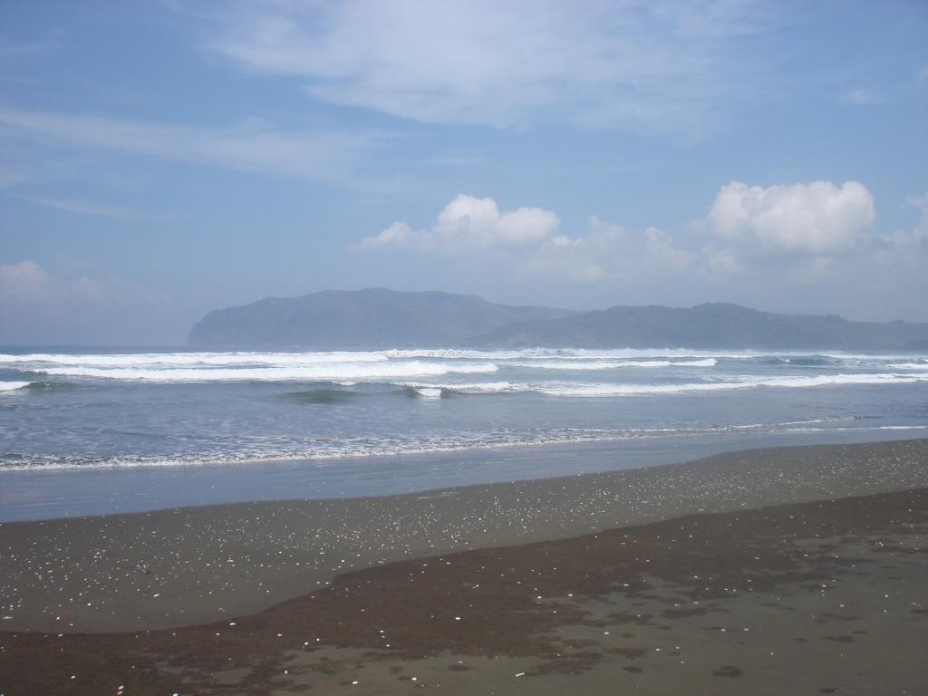 Thalia Homestay & Ijen Bromo Tour Banyuwangi  Dış mekan fotoğraf