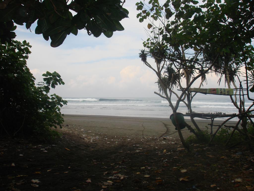 Thalia Homestay & Ijen Bromo Tour Banyuwangi  Dış mekan fotoğraf
