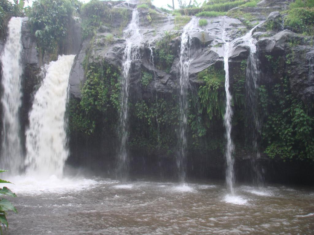 Thalia Homestay & Ijen Bromo Tour Banyuwangi  Dış mekan fotoğraf