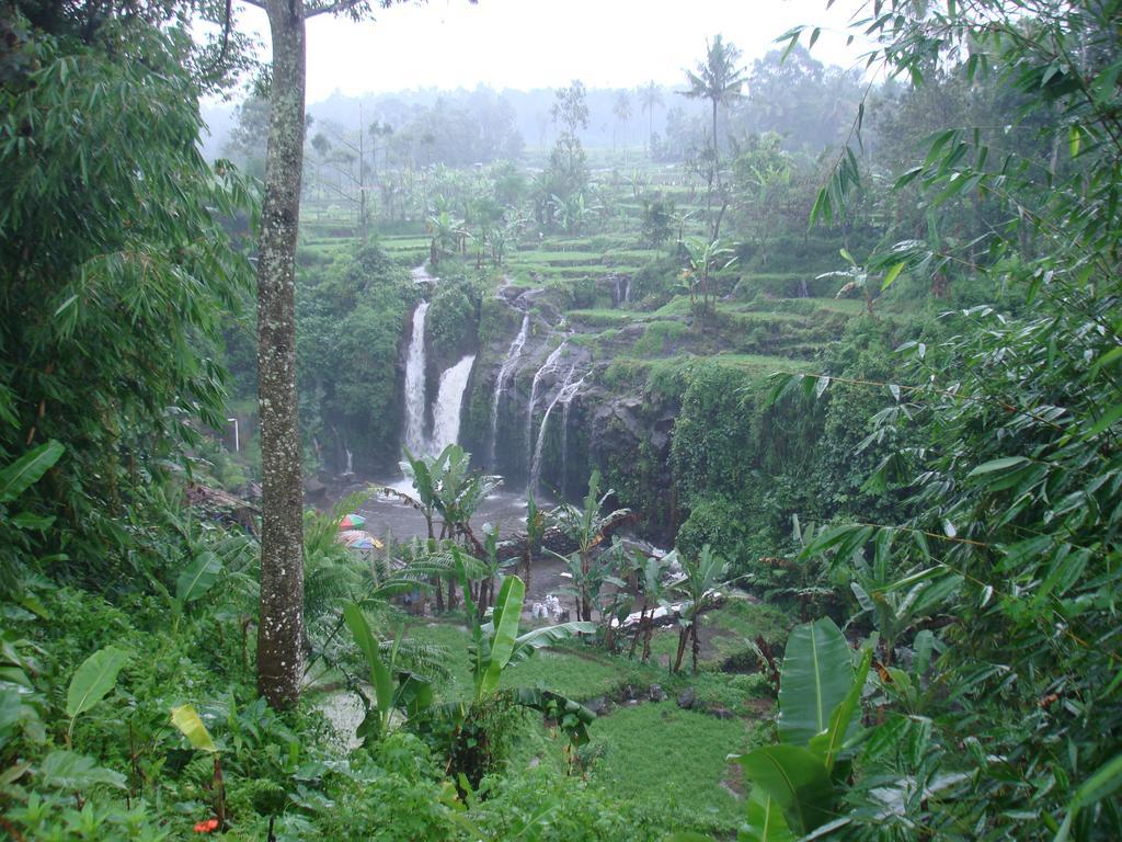 Thalia Homestay & Ijen Bromo Tour Banyuwangi  Dış mekan fotoğraf