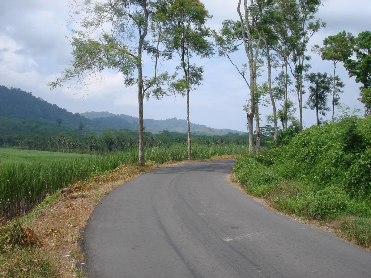 Thalia Homestay & Ijen Bromo Tour Banyuwangi  Dış mekan fotoğraf