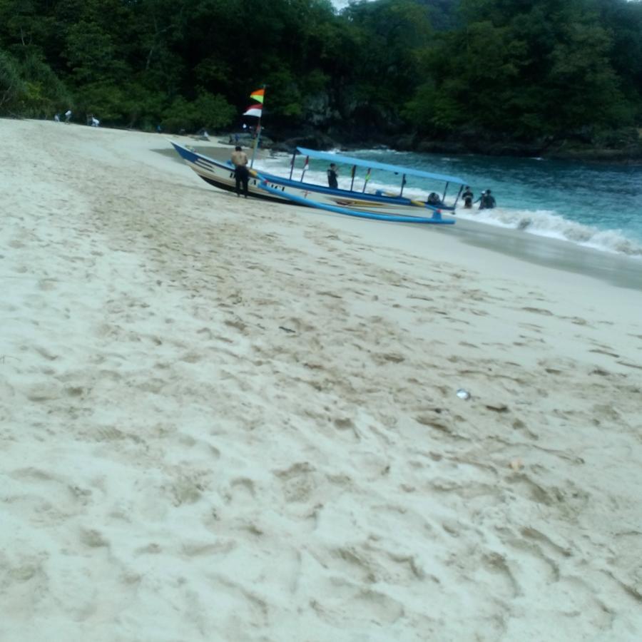 Thalia Homestay & Ijen Bromo Tour Banyuwangi  Dış mekan fotoğraf
