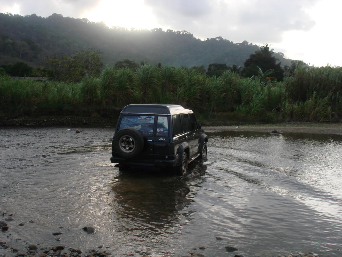 Thalia Homestay & Ijen Bromo Tour Banyuwangi  Dış mekan fotoğraf