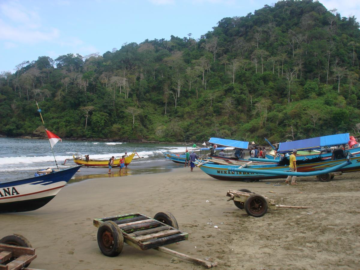 Thalia Homestay & Ijen Bromo Tour Banyuwangi  Dış mekan fotoğraf