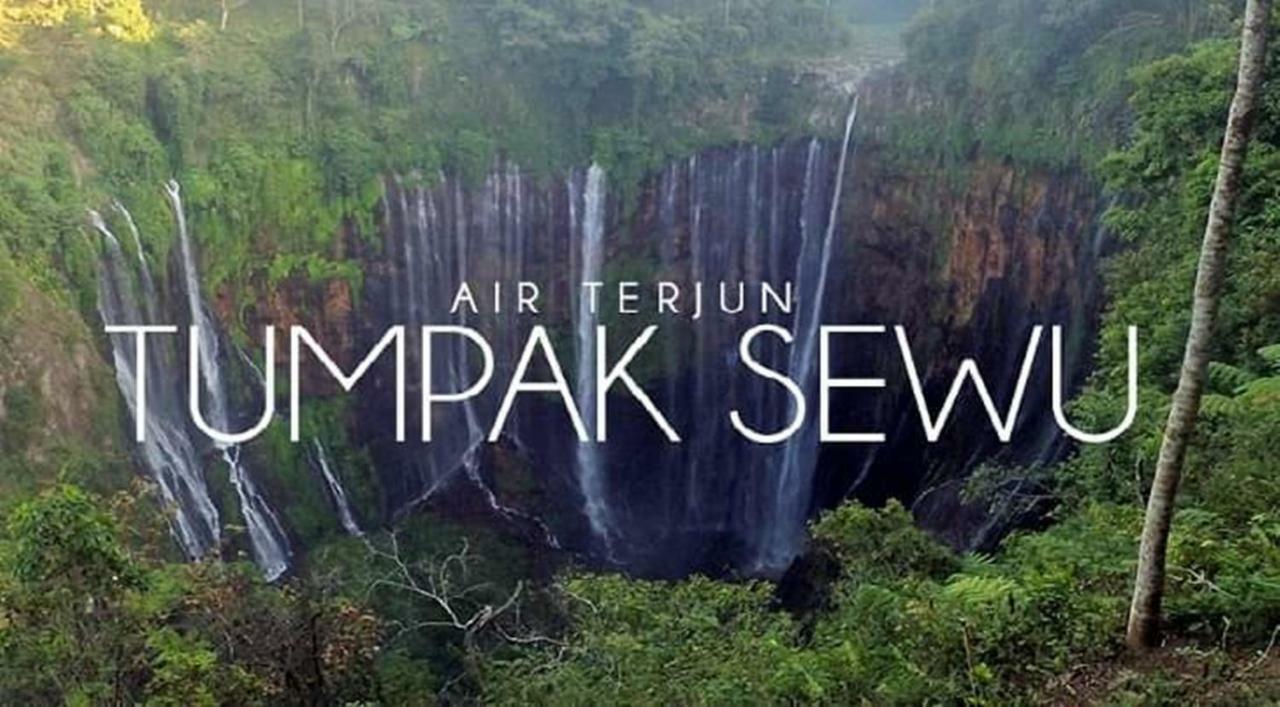 Thalia Homestay & Ijen Bromo Tour Banyuwangi  Dış mekan fotoğraf